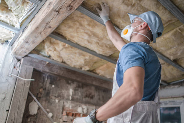 Best Eco-Friendly Insulation in West Pensacola, FL