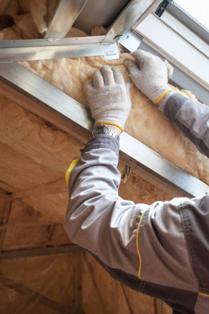 Best Blown-in Insulation in West Pensacola, FL
